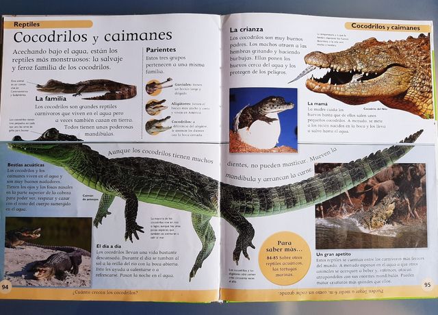 Enciclopedia de los animales dirigida a niños
