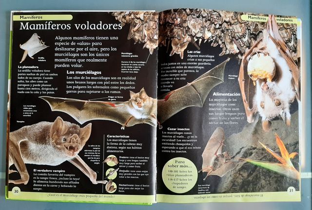 Enciclopedia de los animales dirigida a niños