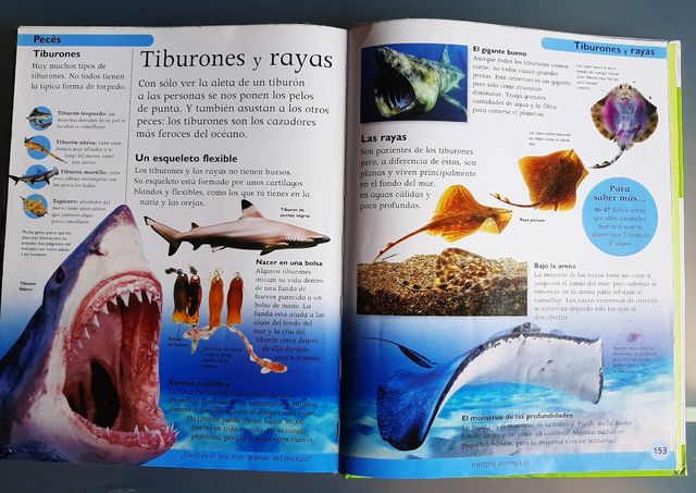 Enciclopedia de los animales dirigida a niños