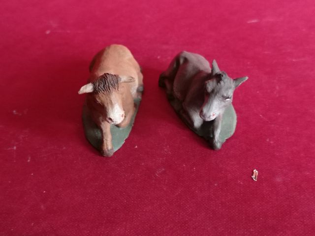 Mula y buey Hnos. Colomer