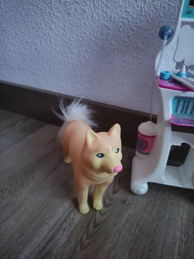 Nancy un día de  rescate  en la nieve