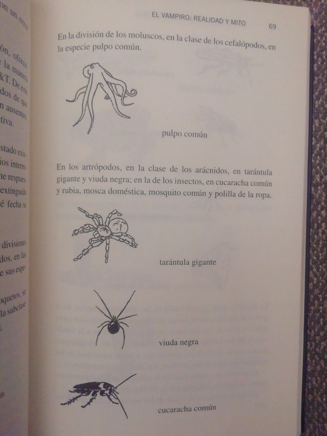 Vampiros: Guía de supervivencia / MJ Zamora