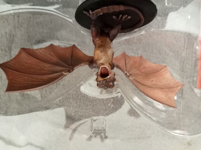 Figura Edición limitada Viserion