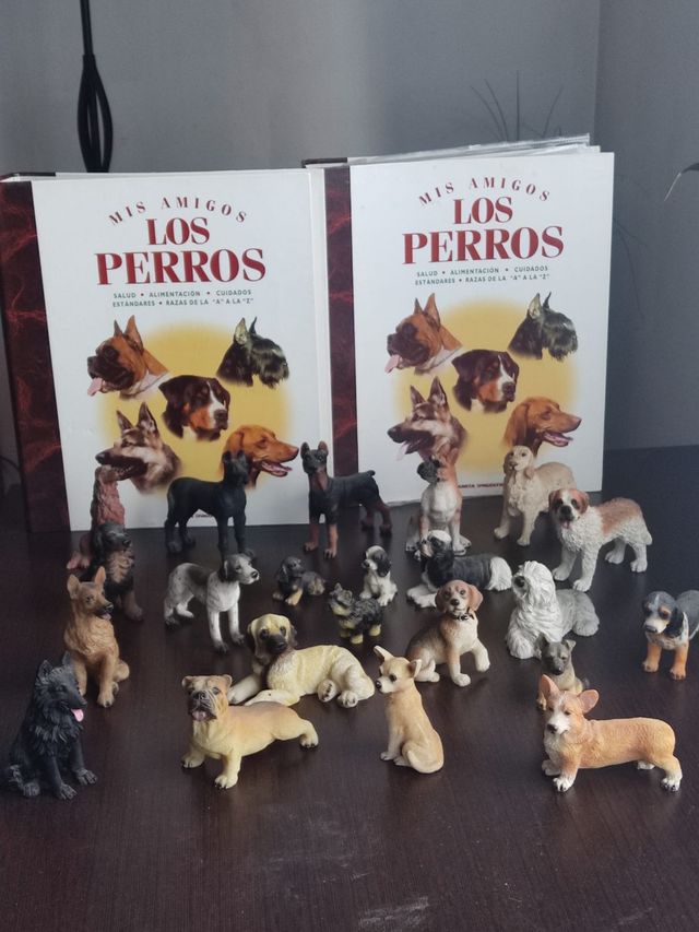 Colección 66 PERRITOS.