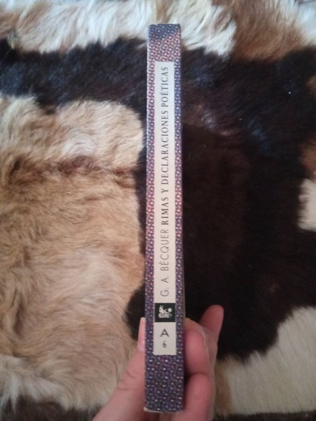 Rimas y declaraciones poeticas