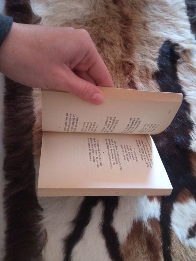 Rimas y declaraciones poeticas