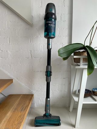 Aspiradora CECOTEC CONGA ROCKSTAR 900 de segunda mano por 150 EUR en Madrid  en WALLAPOP