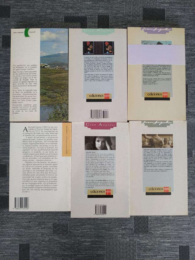 Lectura Juvenil Ed. SM colección Gran angular