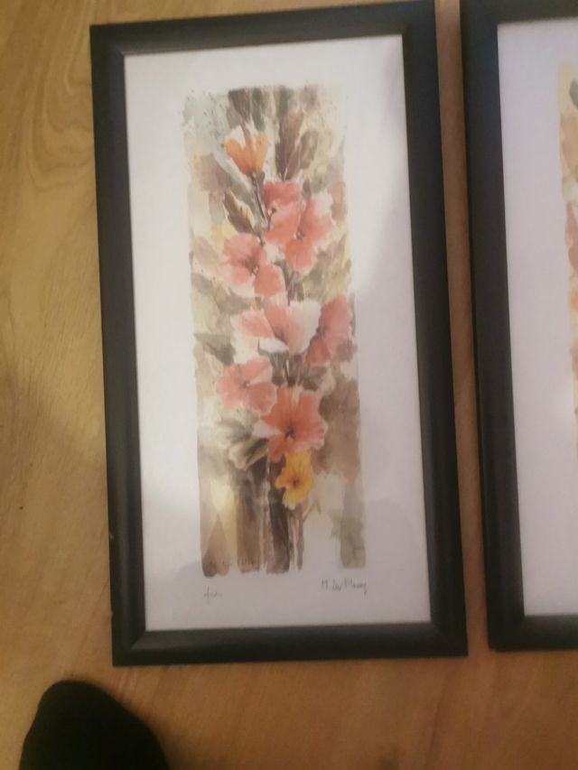 Cuadros de flores
