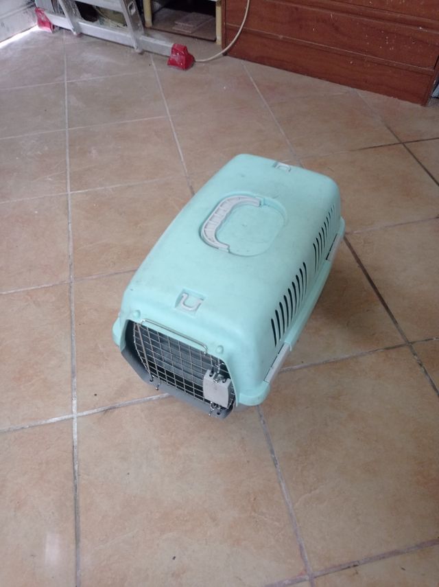 transportin,para perros pequeños