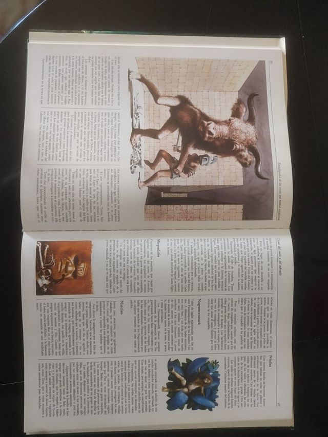 Enciclopedia de las cosas q nunca existieron