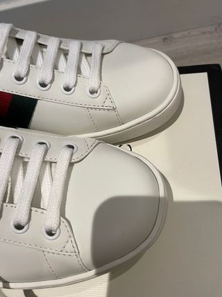 tenis gucci abeja