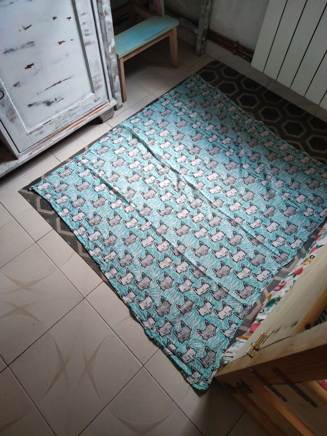 protector carro y muselina