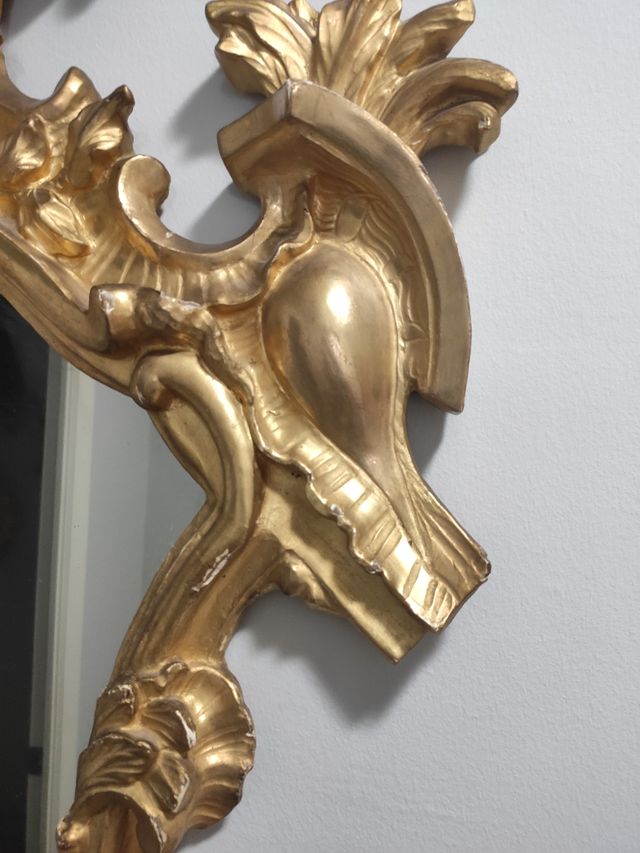 conoscopia para caseta feria