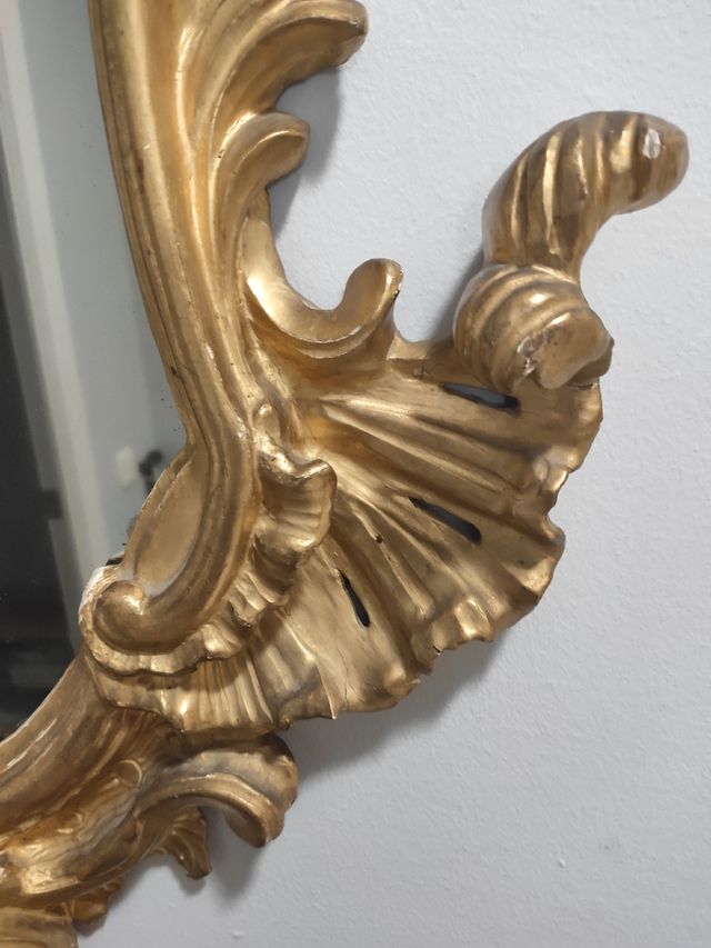 conoscopia para caseta feria