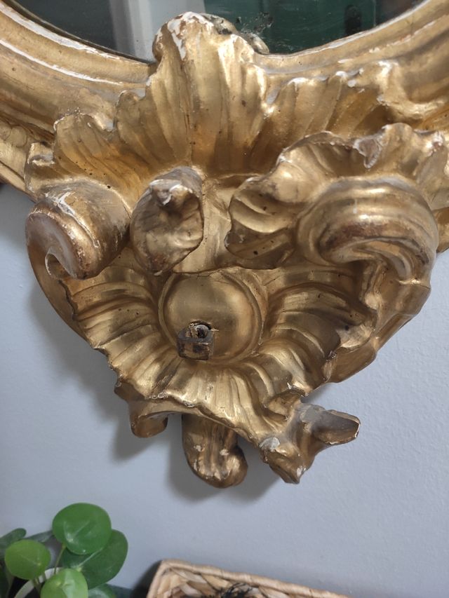 conoscopia para caseta feria