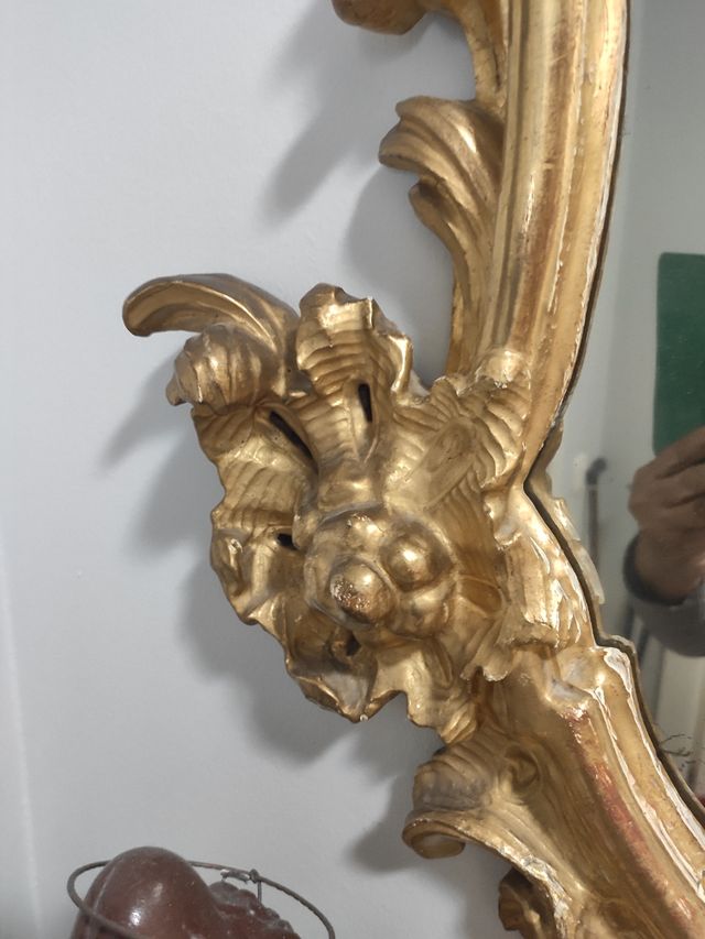 conoscopia para caseta feria