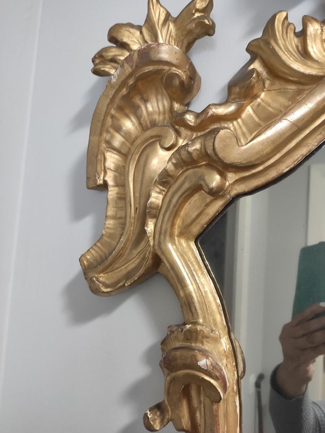 conoscopia para caseta feria