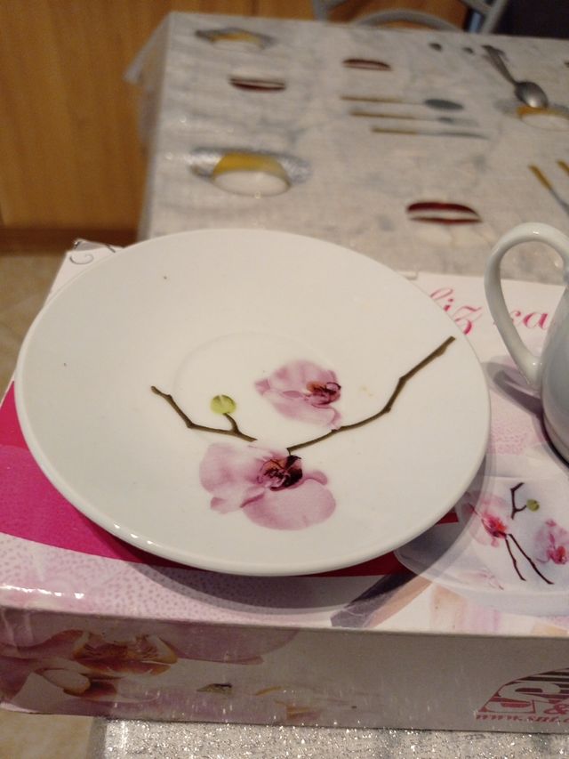 6 tazzine con piattino