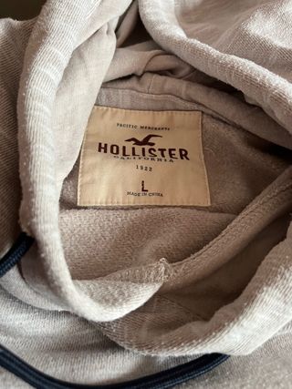 Sudadera Hollister hombre Talla L color gris de segunda mano por 10 EUR en  Móstoles en WALLAPOP