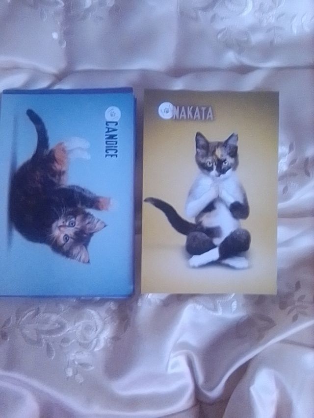 Collezione di fotocard per cani Yoga 