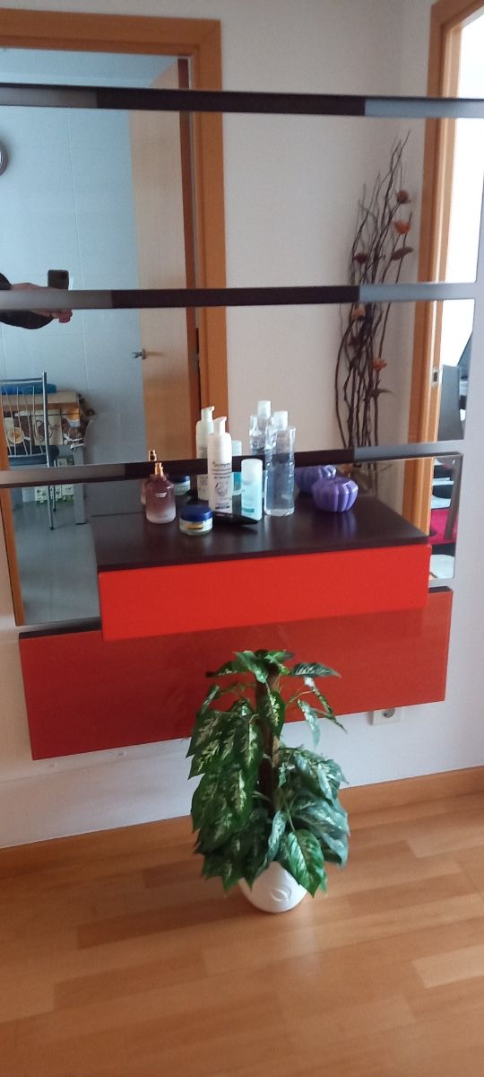 Recibidor de entrada