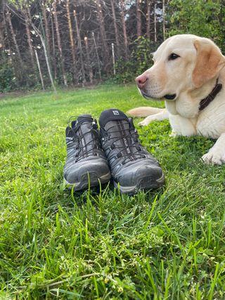 Zapatillas trail Salomon x ultra 43 1\\/3 de segunda mano por 40 EUR en  Madrid en WALLAPOP