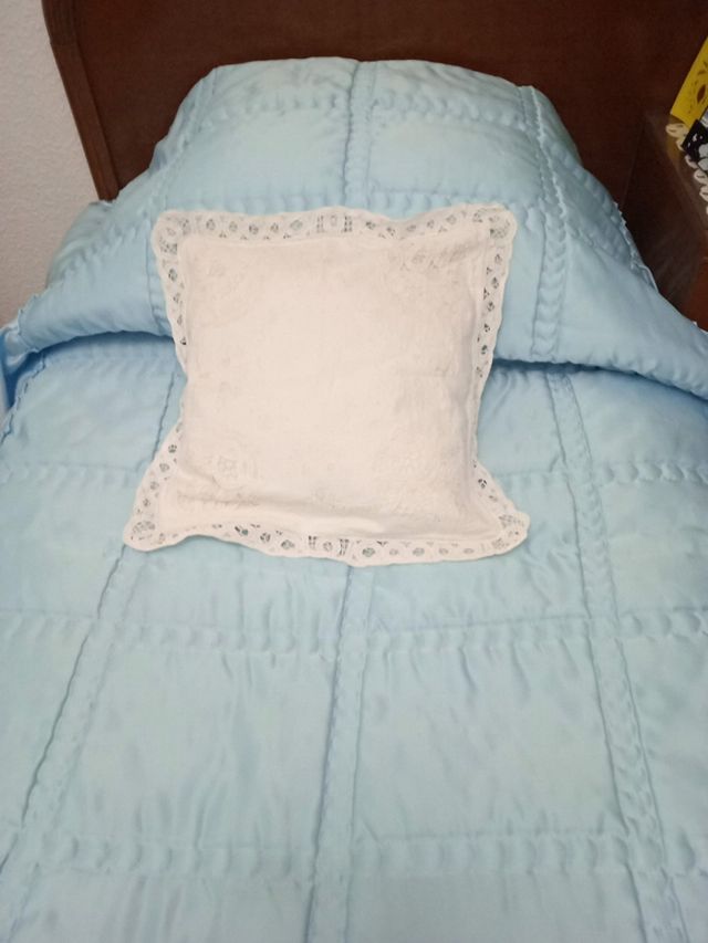 Dos cojines.Precio-9 E - los dos