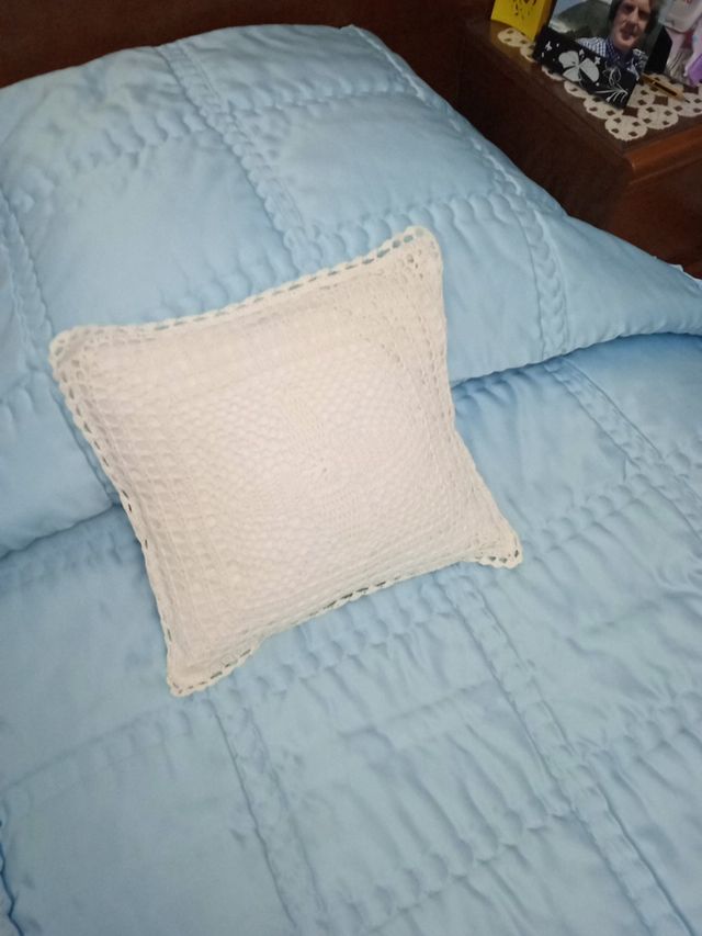 Dos cojines.Precio-9 E - los dos