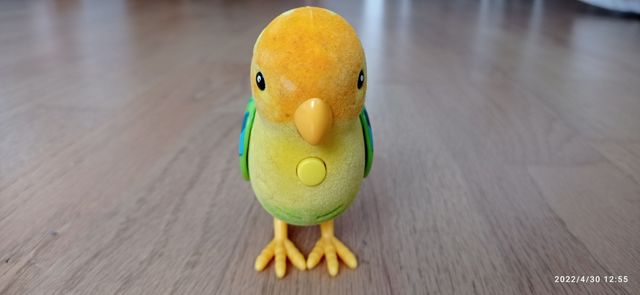 Little live pets. Pajarito parlanchín