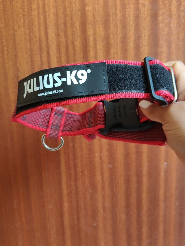 Collar JK9