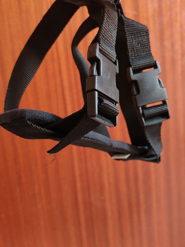 Arnés perro pequeño.