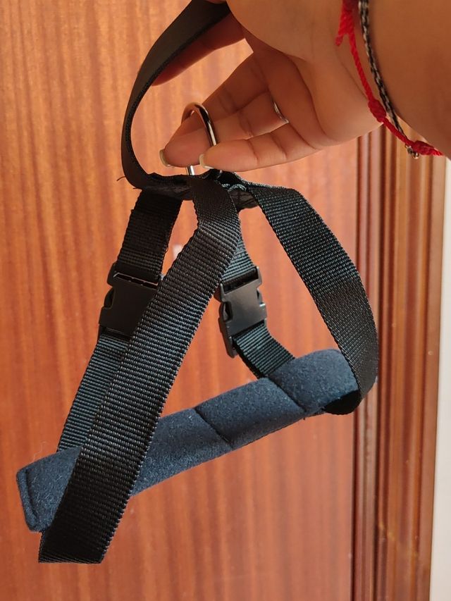 Arnés perro pequeño.