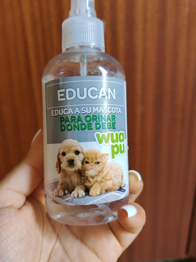 Arnés perro pequeño.