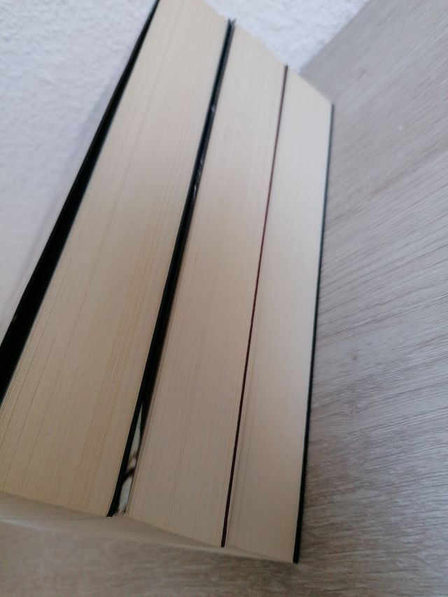 triologia la chica invisible