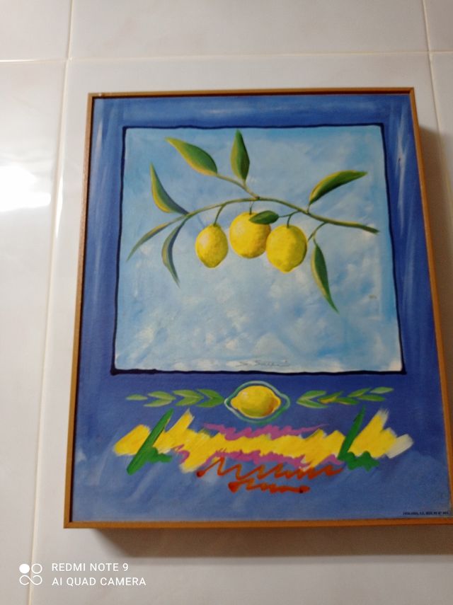 Cuadros 30x25 cm los dos