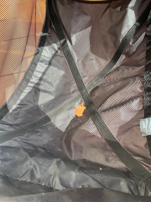 Trio book plus de Peg Perego (SI ENVÍOS)