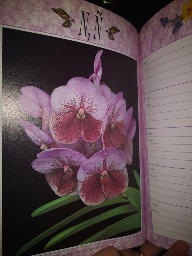 Agenda teléfonos y direcciones