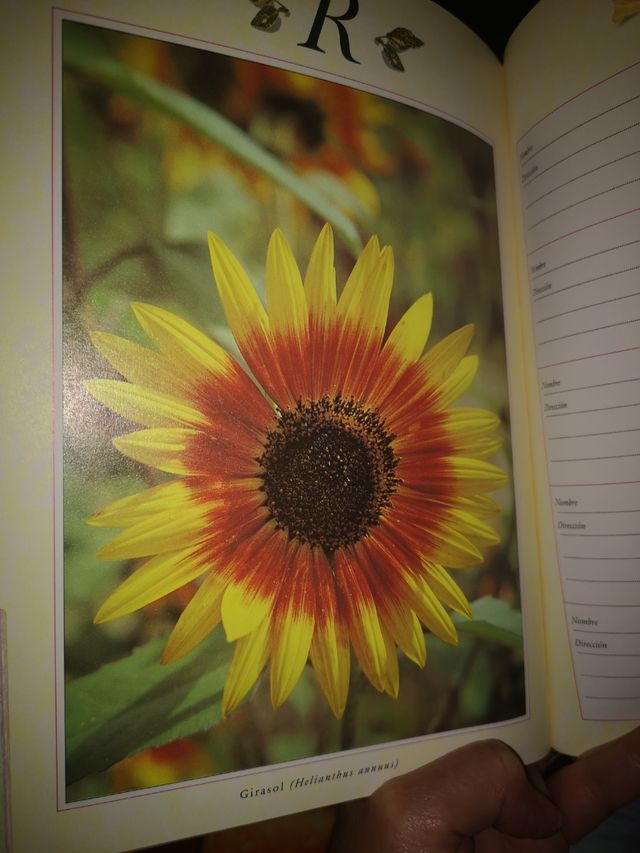 Agenda teléfonos y direcciones