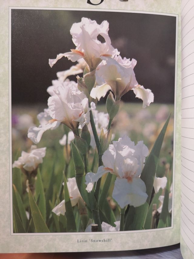 Agenda teléfonos y direcciones