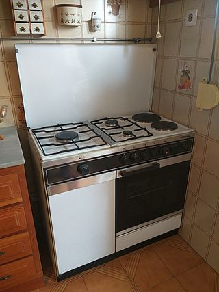 Cocina de gas y horno eléctrico. de segunda mano por 100 EUR en Coslada en  WALLAPOP