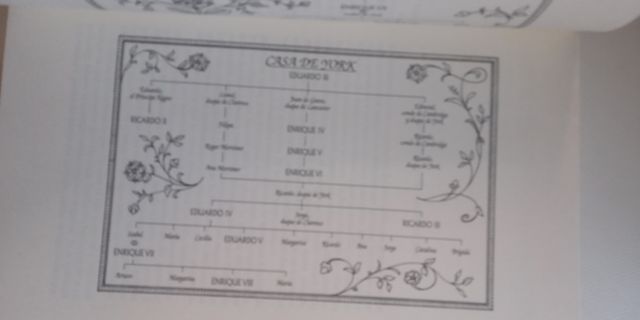 LIBRO EL TRONO CODICIADO