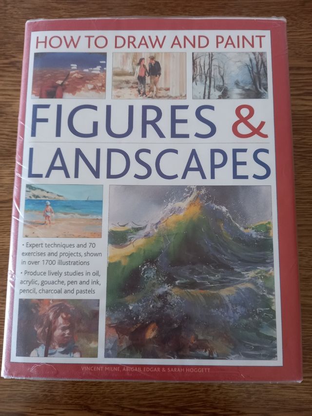 libro de bellas artes