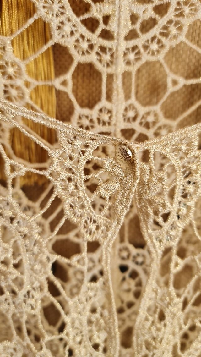 Chal manga de encaje fiesta, ceremonia talla 40-42