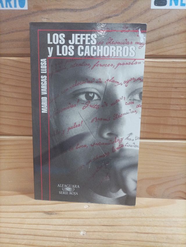 Mario Vargas Llosa I