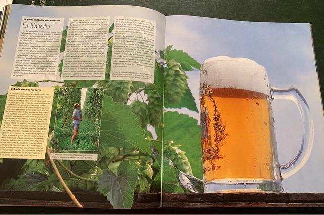 DEL CAMPO A LA COCINA. ALIMENTACIÓN NATURAL.