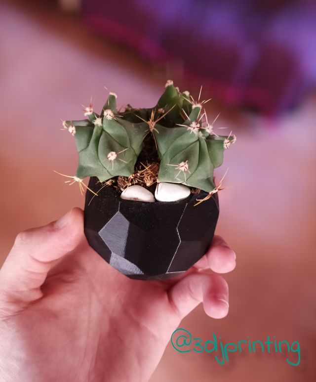 Mini macetero geométrico