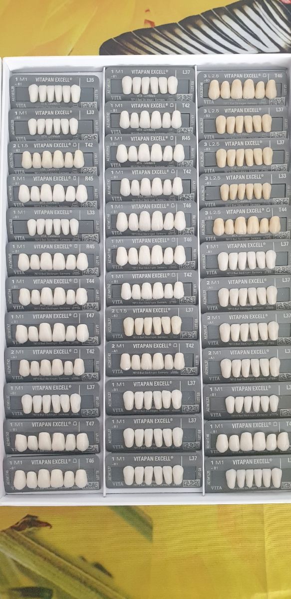 Dientes Vitapan Excell Laboratorio dental