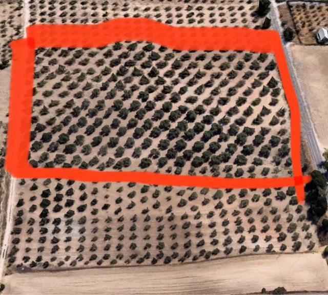 Finca rustica Las Gabias