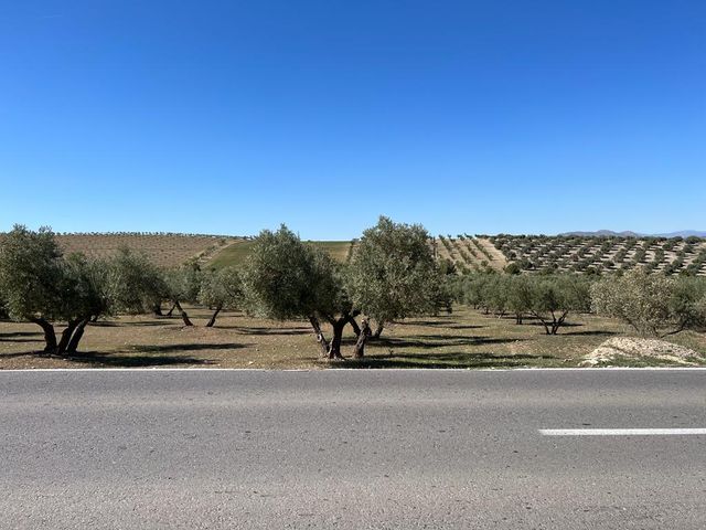 Finca rustica Las Gabias